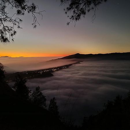 Uciek Tengger Bromo Ngadisari Exteriér fotografie